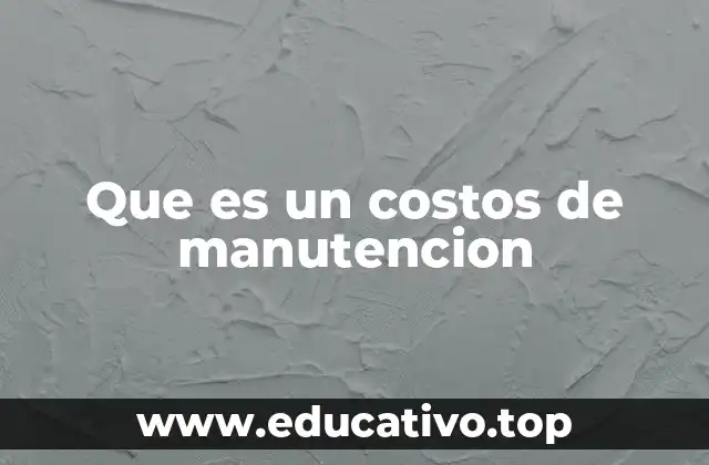 Que es un costos de manutencion