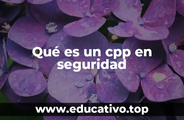 Qué es un cpp en seguridad