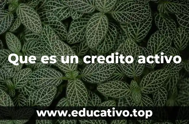 Que es un credito activo