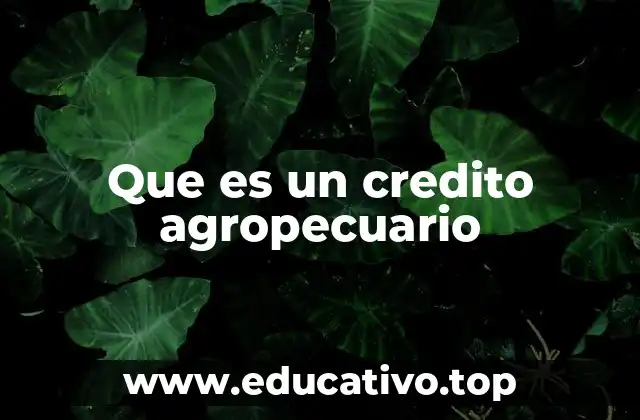 Que es un credito agropecuario