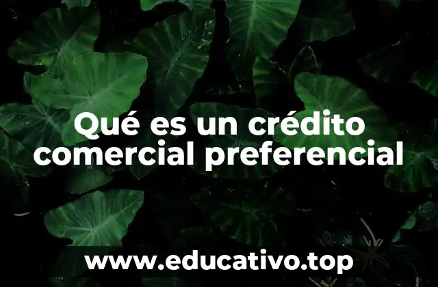 Qué es un crédito comercial preferencial