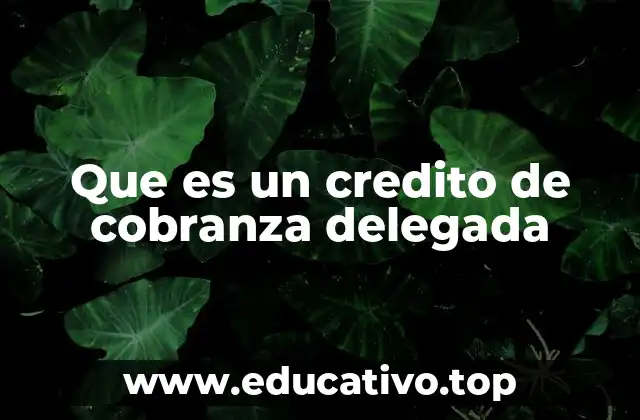 Que es un credito de cobranza delegada