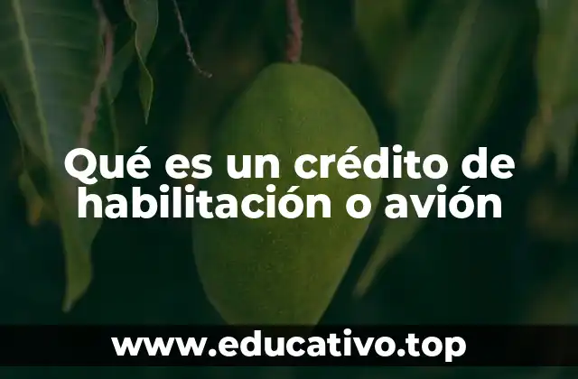 Qué es un crédito de habilitación o avión