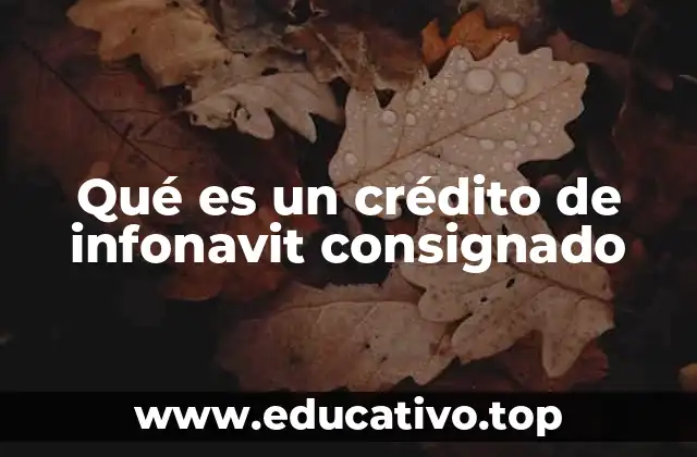 Ventajas de los créditos INFONAVIT