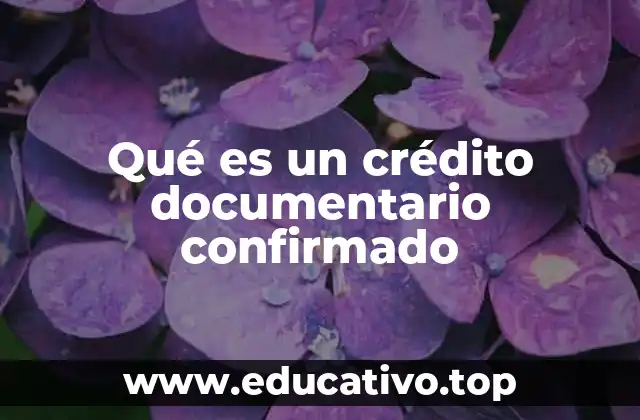Qué es un crédito documentario confirmado