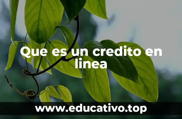 Que es un credito en linea