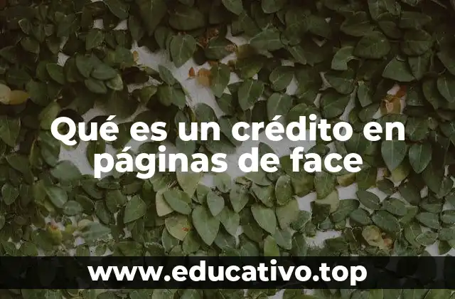 Qué es un crédito en páginas de face