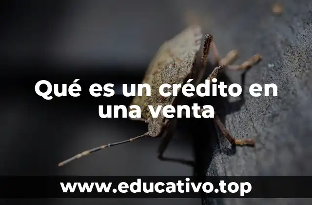 Qué es un crédito en una venta