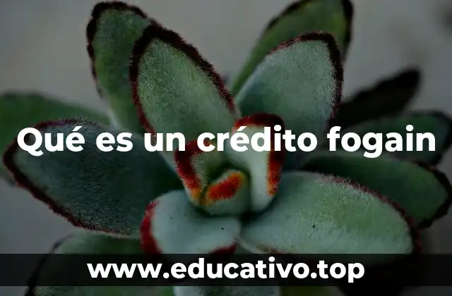 Qué es un crédito fogain