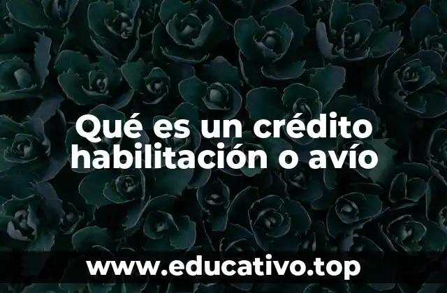Qué es un crédito habilitación o avío