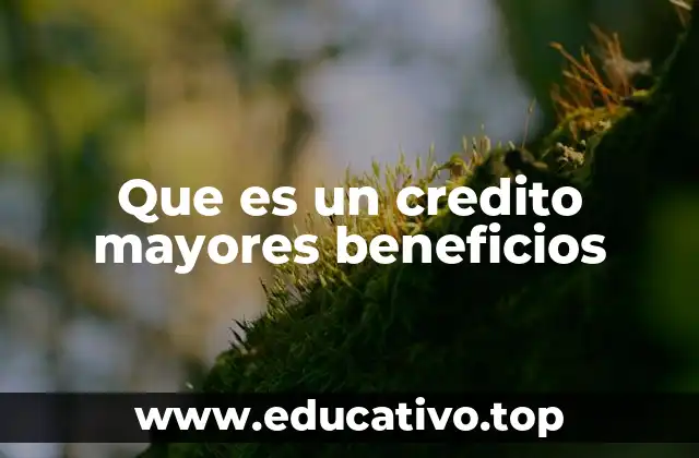 Ventajas de los créditos con condiciones preferenciales