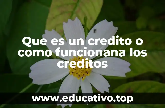 Que es un credito o como funcionana los creditos