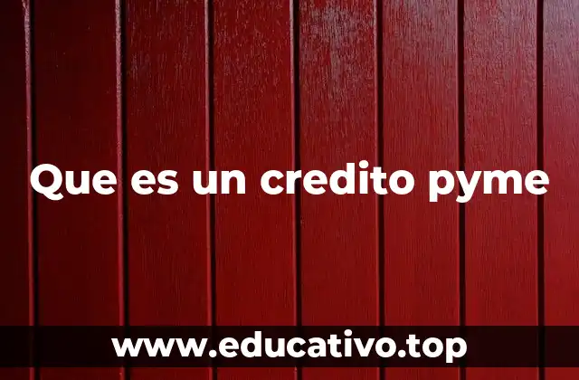 Que es un credito pyme