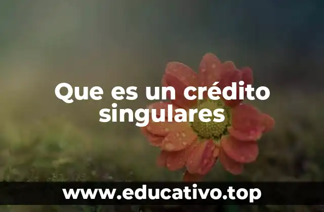 Características de los créditos sin historial crediticio