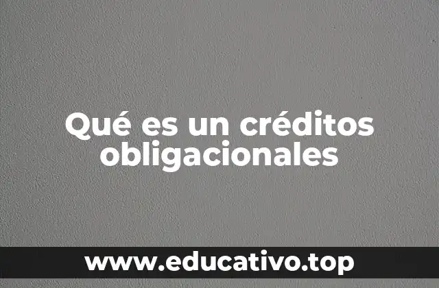 El papel de los créditos obligacionales en el mercado financiero