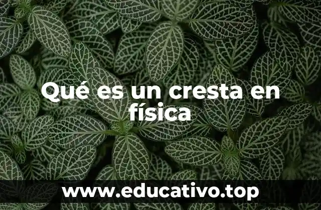 Qué es un cresta en física