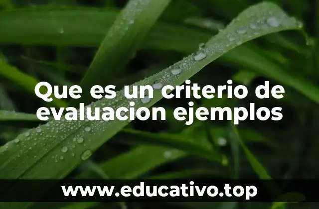 Que es un criterio de evaluacion ejemplos