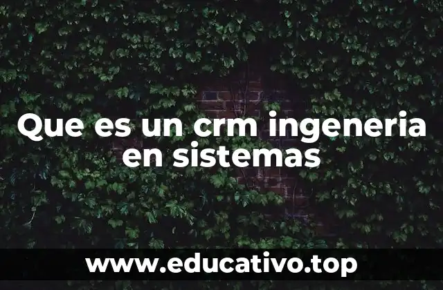 Que es un crm ingeneria en sistemas