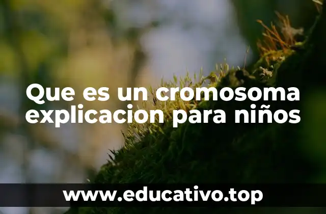 Que es un cromosoma explicacion para niños