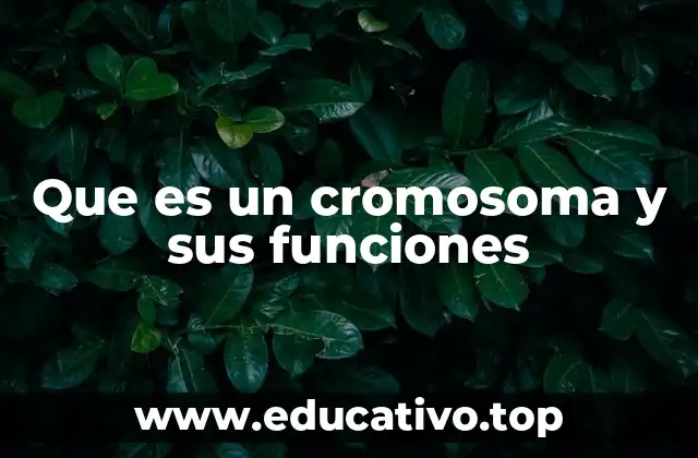 El papel central de los cromosomas en la herencia genética