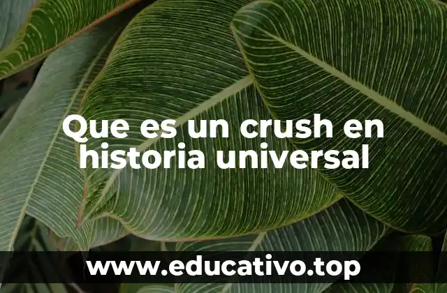 Que es un crush en historia universal