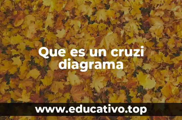 Que es un cruzi diagrama