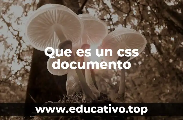 Que es un css documento