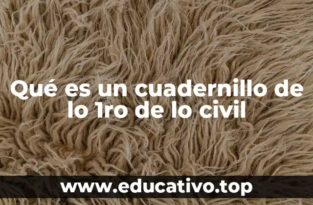 Qué es un cuadernillo de lo 1ro de lo civil
