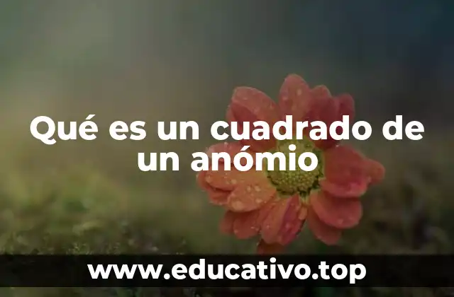 Qué es un cuadrado de un anómio