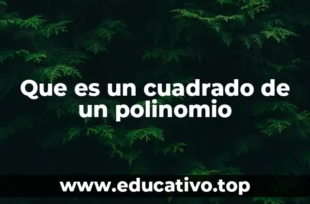 Que es un cuadrado de un polinomio