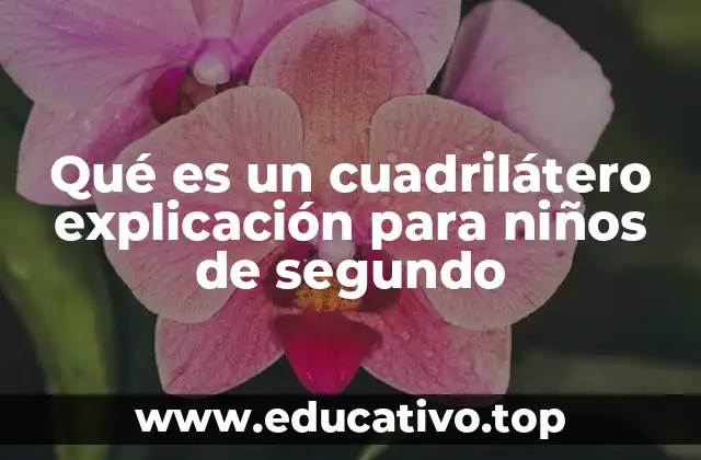 Qué es un cuadrilátero explicación para niños de segundo