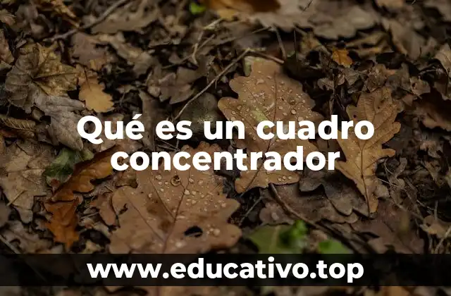 Qué es un cuadro concentrador