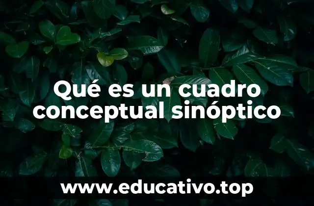 Qué es un cuadro conceptual sinóptico