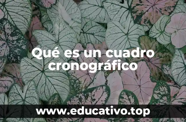 Qué es un cuadro cronográfico