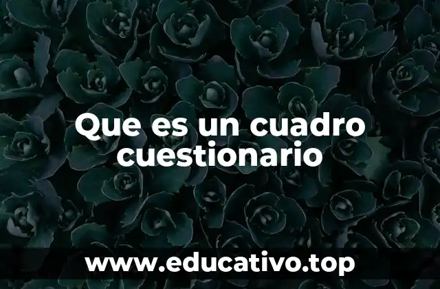 Que es un cuadro cuestionario
