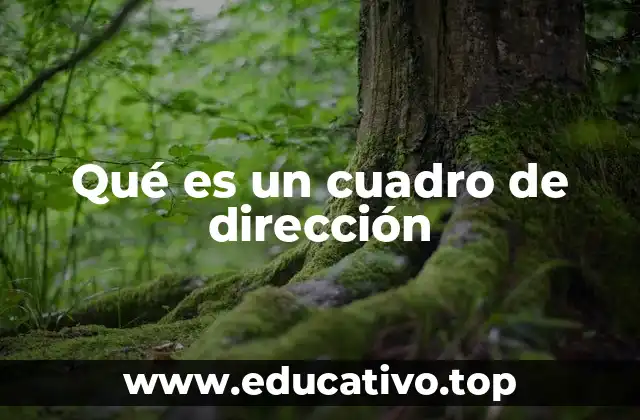 Qué es un cuadro de dirección
