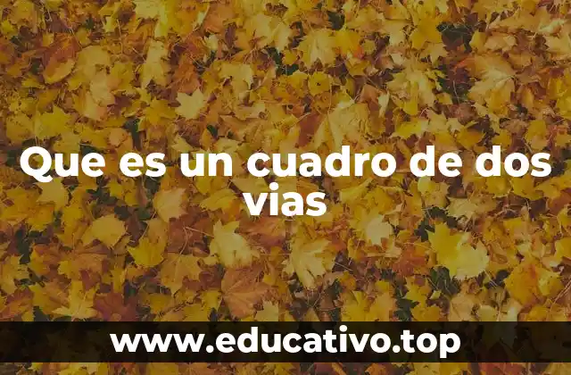 Que es un cuadro de dos vias