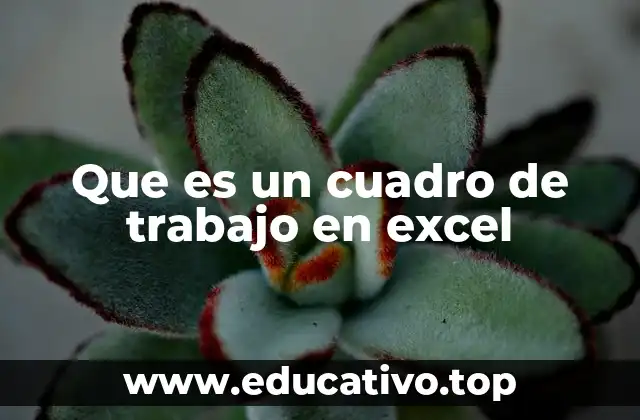 Que es un cuadro de trabajo en excel