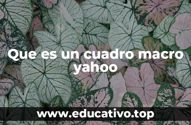 Que es un cuadro macro yahoo