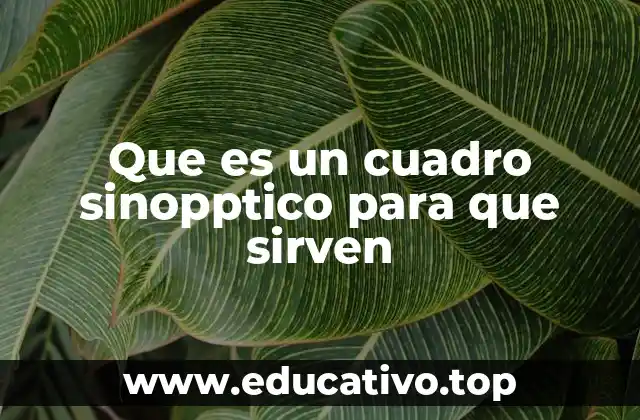 La importancia de la organización visual en el aprendizaje