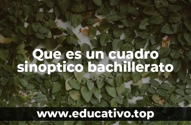 Que es un cuadro sinoptico bachillerato