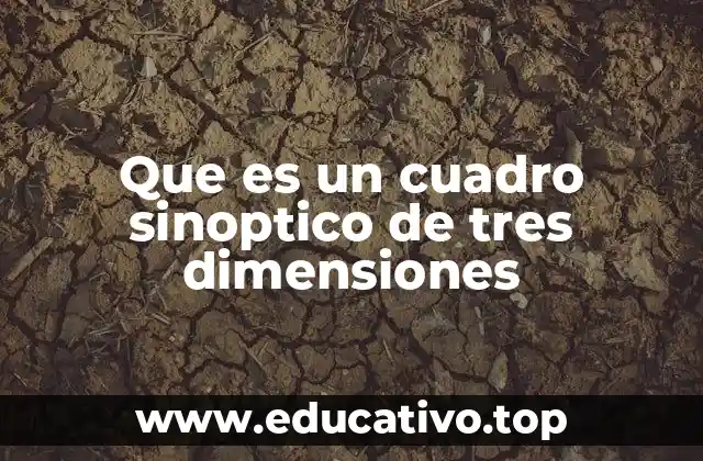 Que es un cuadro sinoptico de tres dimensiones