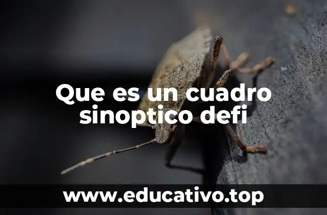 Que es un cuadro sinoptico defi