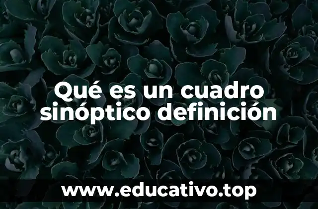 Qué es un cuadro sinóptico definición