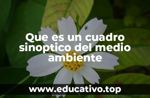 Que es un cuadro sinoptico del medio ambiente