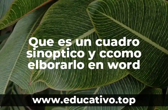 Que es un cuadro sinoptico y ccomo elborarlo en word