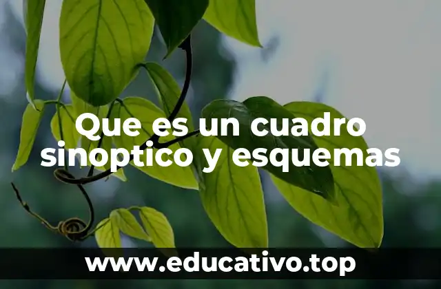Que es un cuadro sinoptico y esquemas