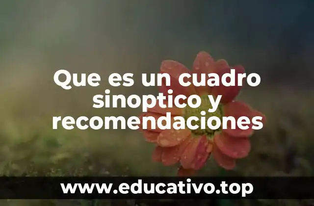 Que es un cuadro sinoptico y recomendaciones