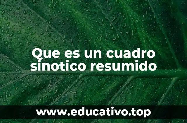 Que es un cuadro sinotico resumido