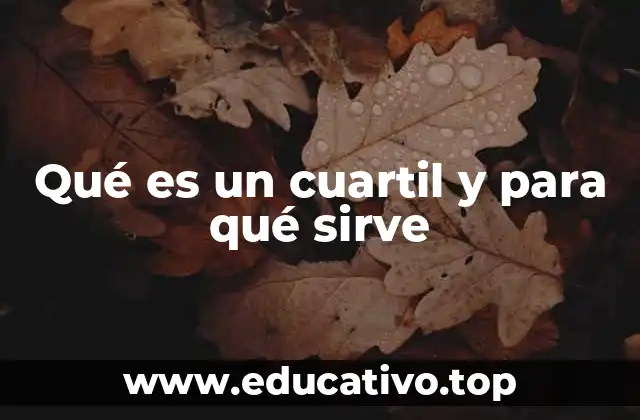 Qué es un cuartil y para qué sirve